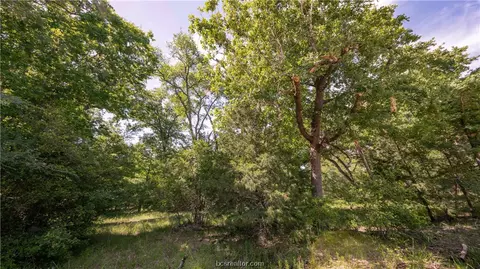 Tbd Treebrook Lane, Bryan, TX 77808 photo 8