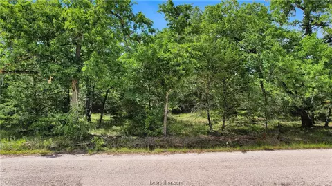 Tbd Treebrook Lane, Bryan, TX 77808 photo 7