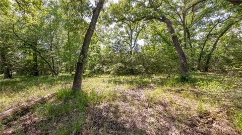 Tbd Treebrook Lane, Bryan, TX 77808 photo 10