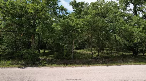 Tbd Treebrook Lane, Bryan, TX 77808 photo 12