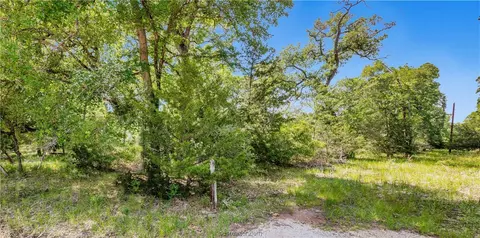 Tbd Treebrook Lane, Bryan, TX 77808 photo 3