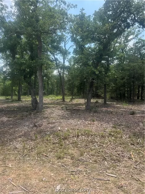 Lot 146 Deer Run Trail, Somerville, TX 77879