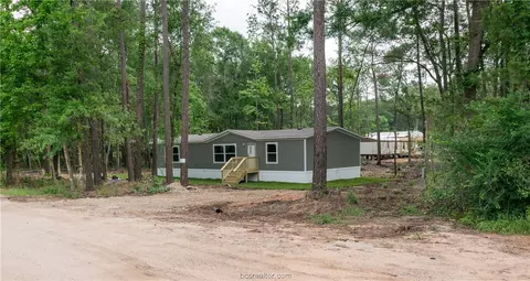 13431 Live Oak Dr, Plantersville, TX 77363