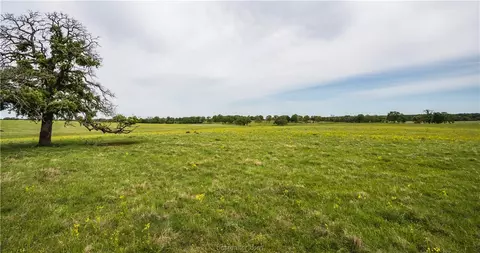 Tbd Reagan Loop, Franklin, TX 77856 photo 6