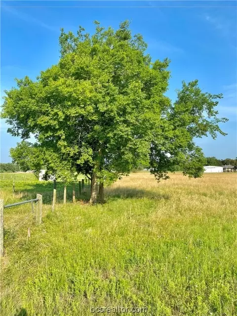 Tbd Hollow Heights Drive, Bryan, TX 77808