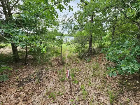 200 Pine Rd, Somerville, TX 77879 photo 14