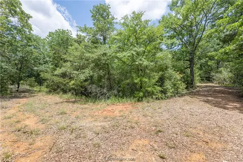9999 Jackrabbit Ln, Bryan, TX 77808 photo 16
