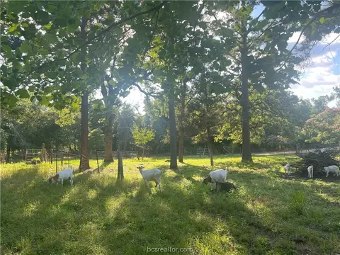 460 Sundown Rd, Caldwell, TX 77836