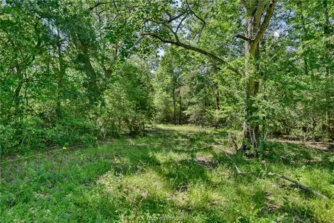 14129 Sandtown Rd, Carmine, TX 78932
