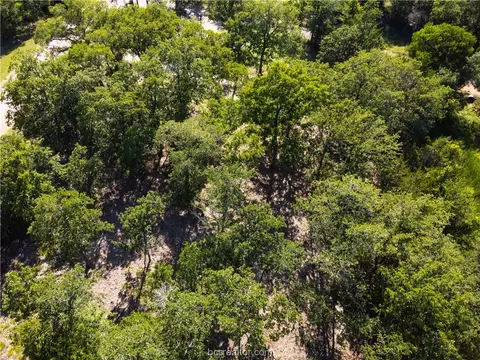 3 Lots Pine Loop, Somerville, TX 77879 photo 9