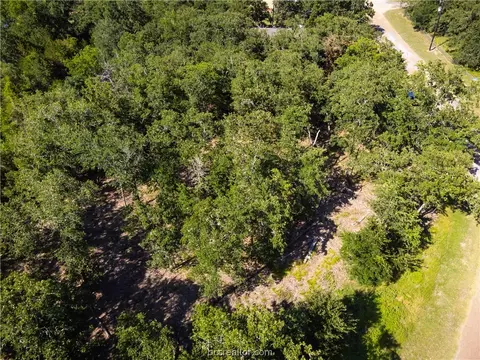 3 Lots Pine Loop, Somerville, TX 77879 photo 8