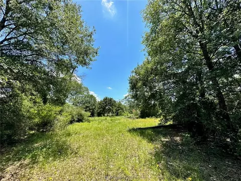 9206 King Oaks Dr, Iola, TX 77861