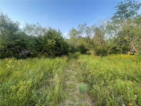 Block 2, Bryan, TX 77808 photo 6