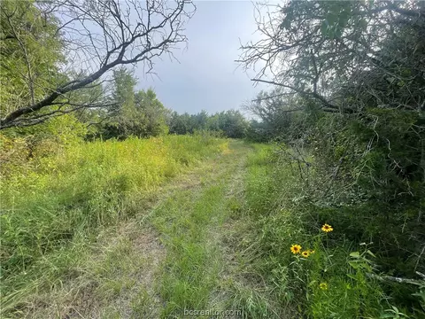Block 2, Bryan, TX 77808 photo 10