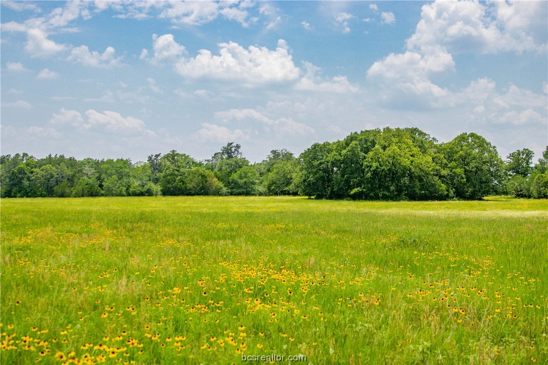 Lot 30 (5 41 Acres) Legacy Rd  