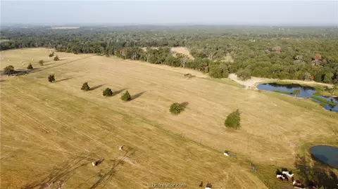 3638 Harbor Bolton Rd County Rd, Franklin, TX 77856