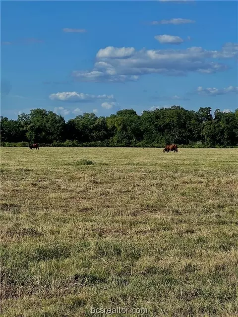 0 County Road 240, Other, TX 77434