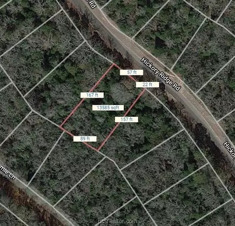 16 Hickory Ridge Lane, Hilltop Lakes, TX 77871