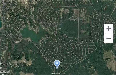 Lot 6 Creek Road, Hilltop Lakes, TX 77871