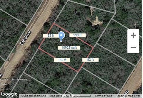Lot 4 Cardinal  