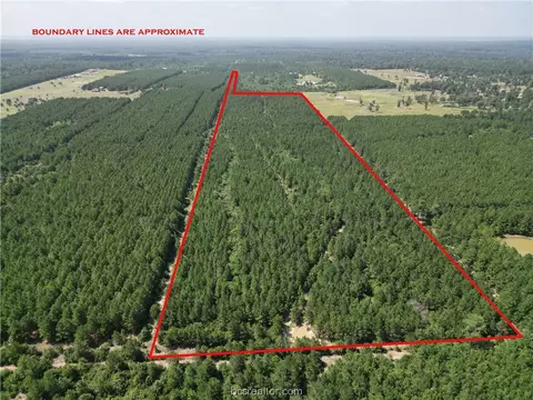 32 447 Acres County Road 302, Plantersville, TX 77363