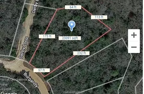 Lot 4 Burgandy, Hilltop Lakes, TX 77871