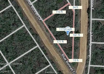 Lot 7 Blue Bonnet Austin Col