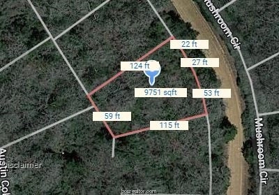 Lot 26 Mushroom  