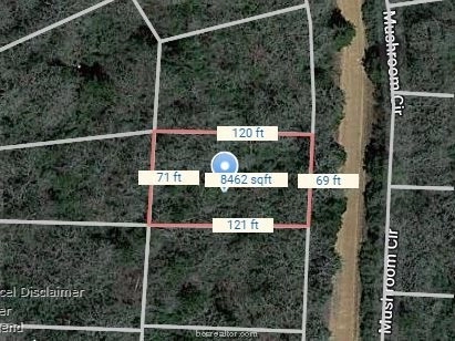 Lot 28 Mushroom  
