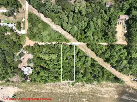 Lot 9 Tawnyberry Lane, Plantersville, TX 77363