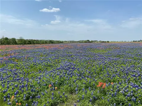 5295 Old Chappell Hill Rd, Brenham, TX 77833