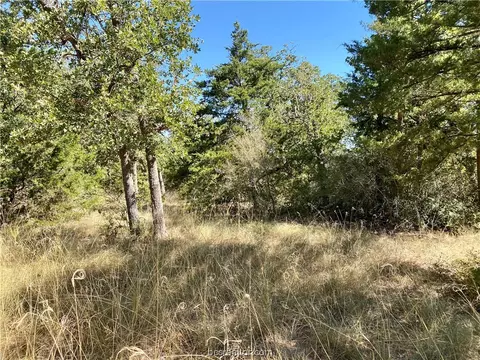 105 Deer Cir, Somerville, TX 77879