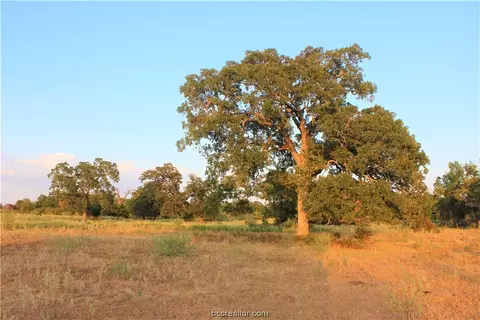Tbd County Road 103, Iola, TX 77861
