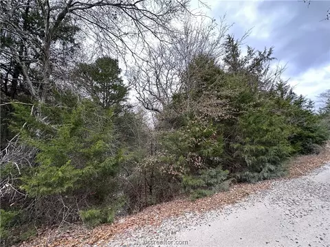 Tbd Beavers Cove, Thornton, TX 76687