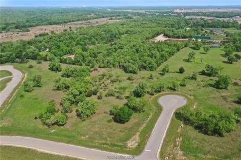 1723 Millican Meadow Ct, College Station, TX 77845