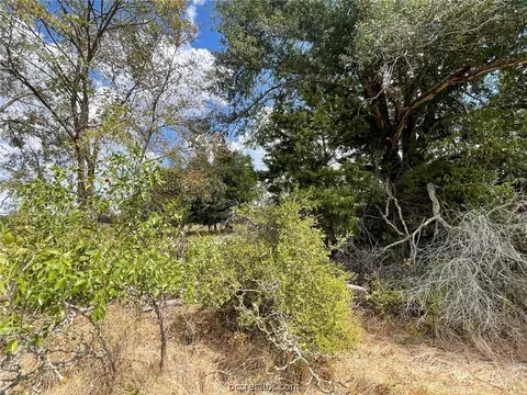 281 E Fm 979, Franklin, TX 77856 photo 4