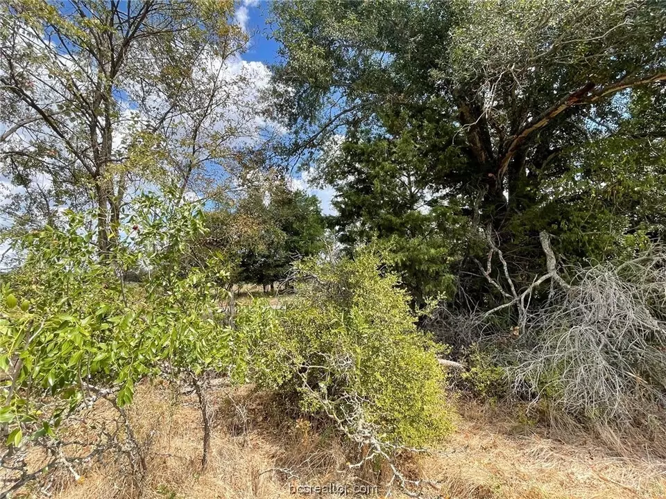  281 E Fm 979, Franklin, TX 77856 photo 4