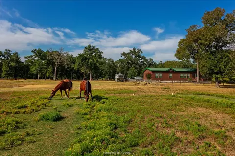 9638 Elmo Weedon Rd, Bryan, TX 77808 photo 19