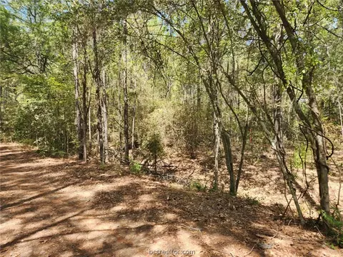 Lot 25 Honeylocust Lane, Plantersville, TX 77363