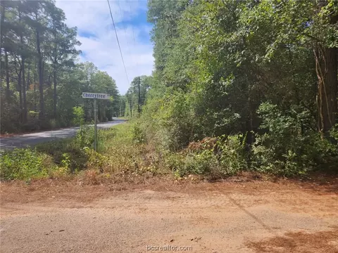 Lot 1 Cherry Tree Lane, Plantersville, TX 77363