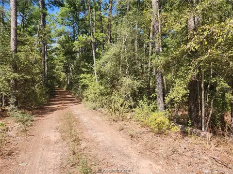 Lot 19 Hawthorne Lane, Plantersville, TX 77363