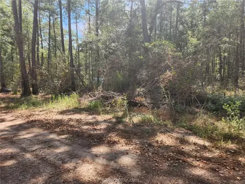 Lot 25 Yellow Poplar Lane, Plantersville, TX 77363