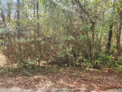 Lot 8 Hoptree Lane, Plantersville, TX 77363