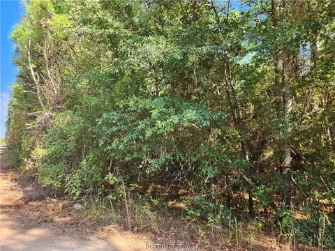 Lot 17 Tawnyberry Lane, Plantersville, TX 77363