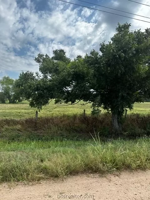 Tract 9 County Road 240, Other, TX 77434