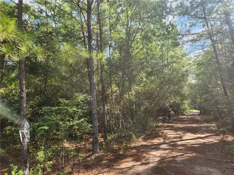 Lot 22 Sycamore Lane, Plantersville, TX 77363