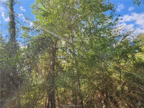 24 Hackberry, Plantersville, TX 77363