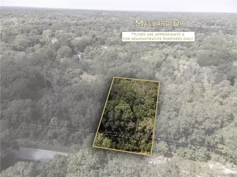 Lot 4a/74 Mallard Dr., Caldwell, TX 77836