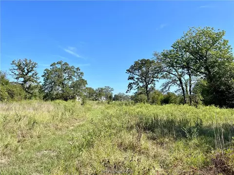 Lot 443 Henley Cove, Iola, TX 77861