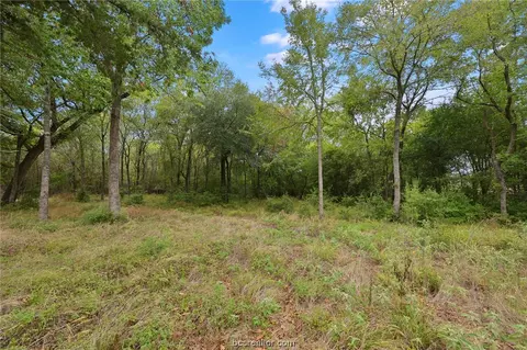 4079 Austins Lndg, Bryan, TX 77808 photo 4